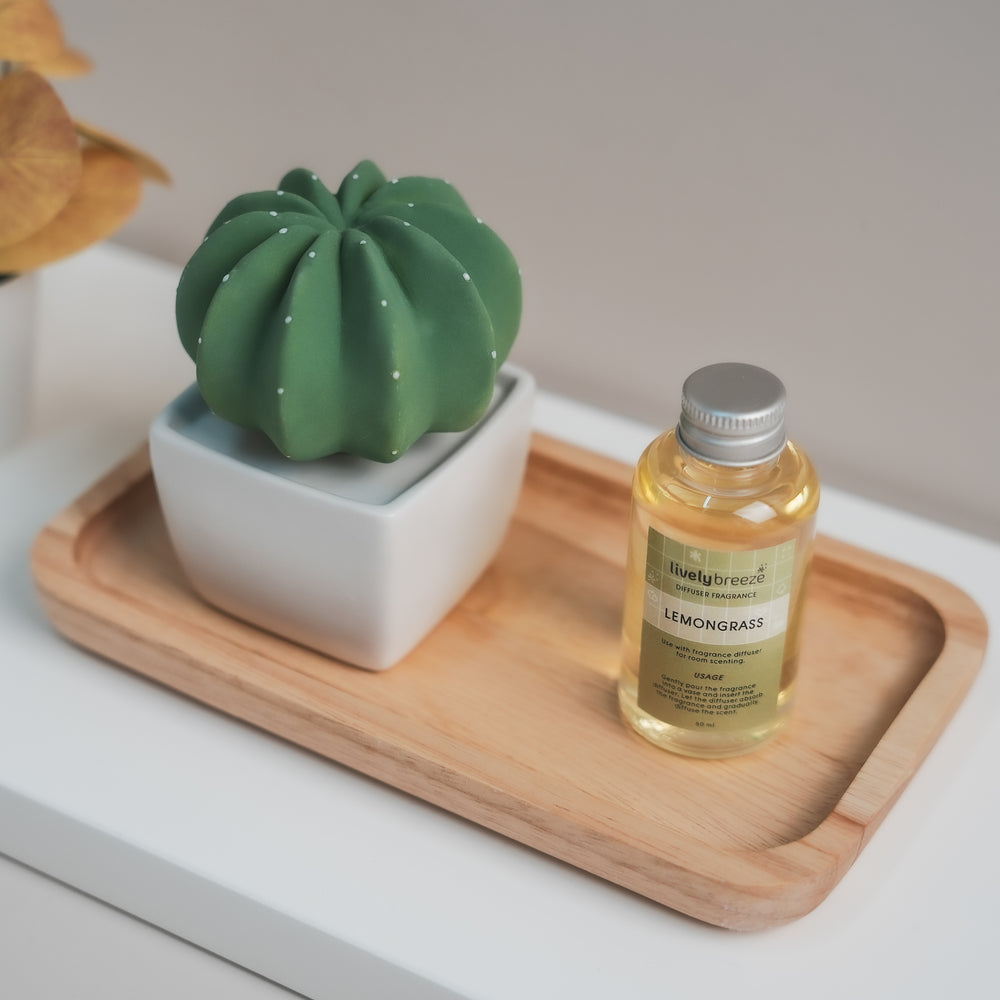 DOTTI Ceramic Cactus | Lively Breeze Thailand | Ceramic Diffusers | Home Fragrance