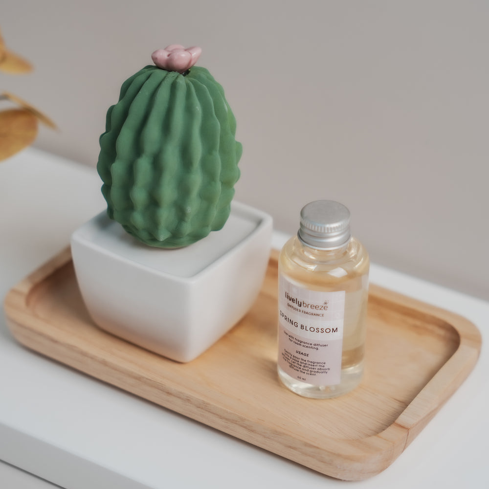 Melona Ceramic Cactus | Lively Breeze Thailand | Ceramic Diffusers