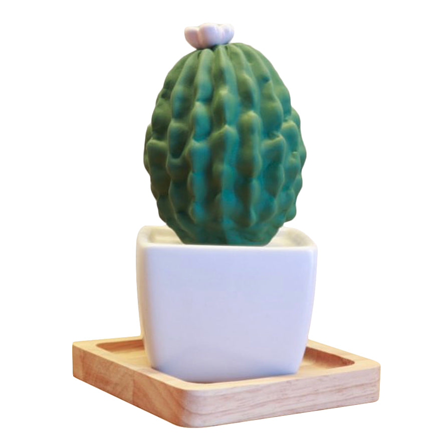 Melona Ceramic Cactus | Lively Breeze Thailand | Ceramic Diffusers