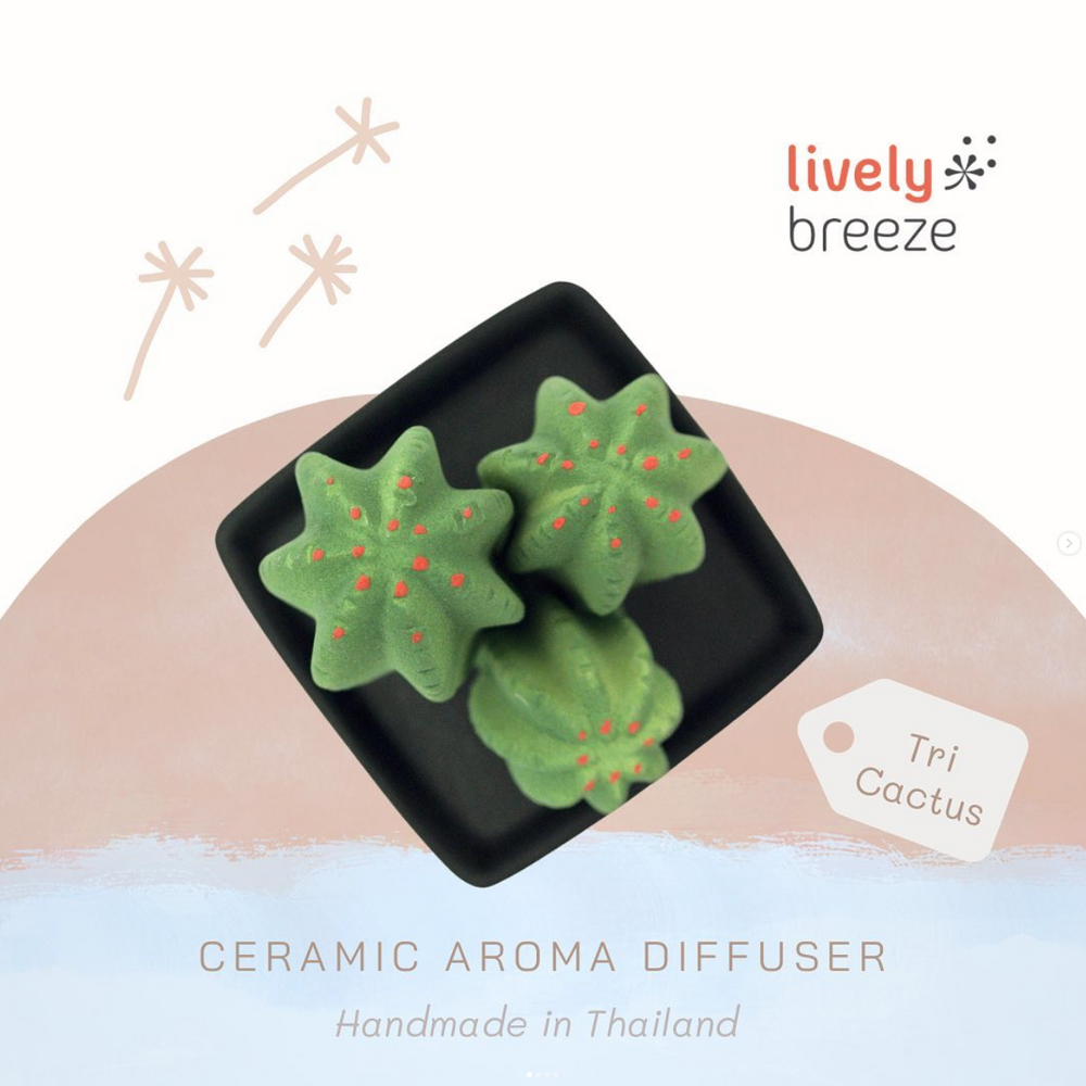 TRI Ceramic Cactus | Lively Breeze Thailand | Ceramic Diffusers | Home Fragrance